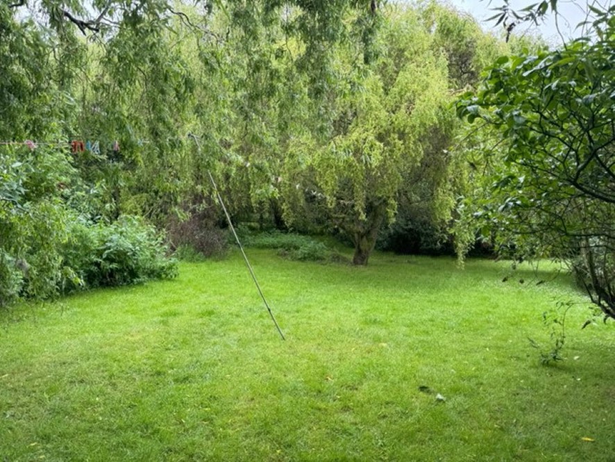 Lot Image