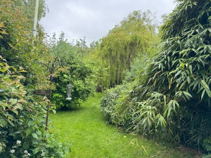 Lot Image