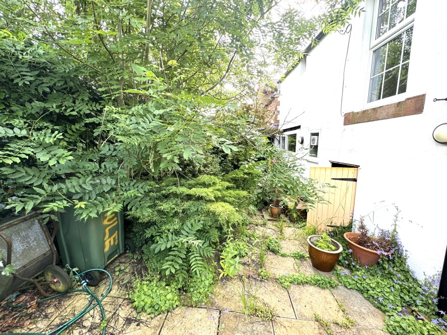 Lot Image