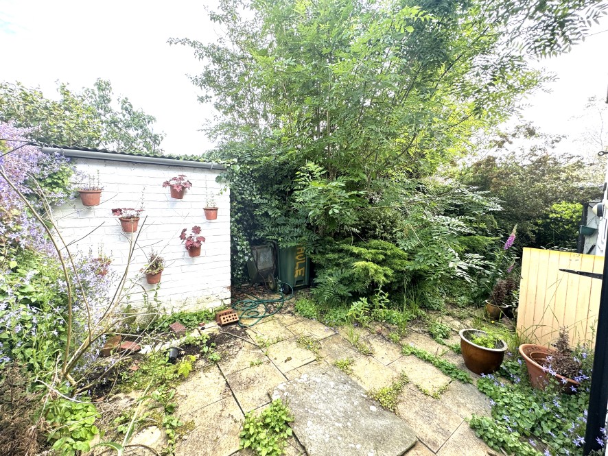Lot Image