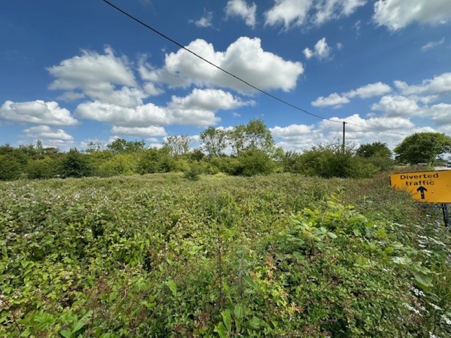 Lot Image