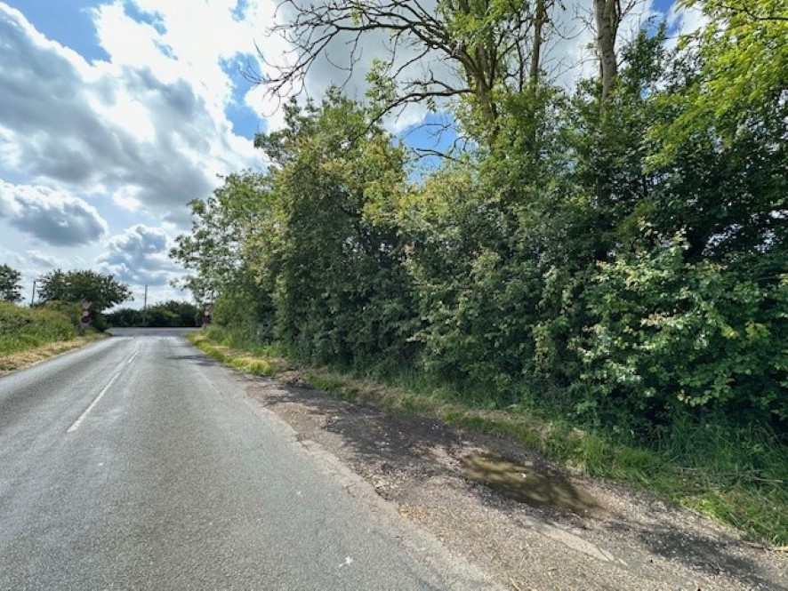 Lot Image