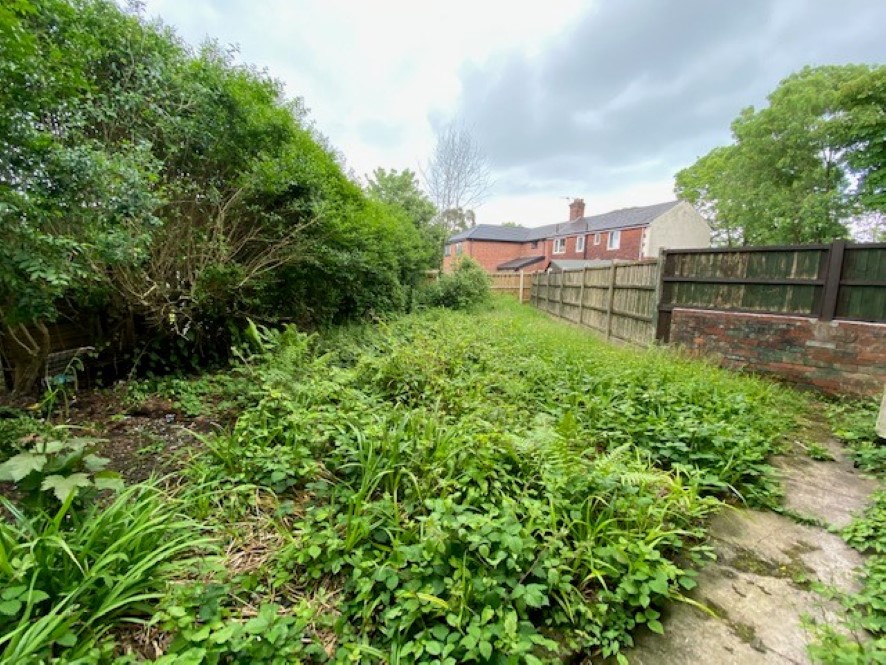 Lot Image