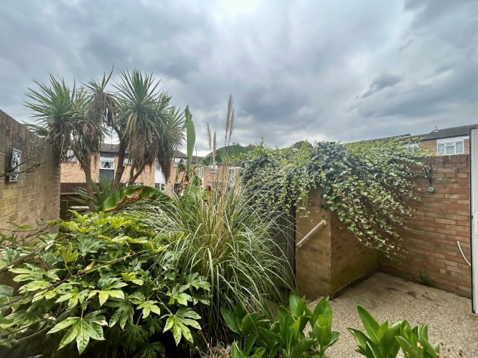 Lot Image