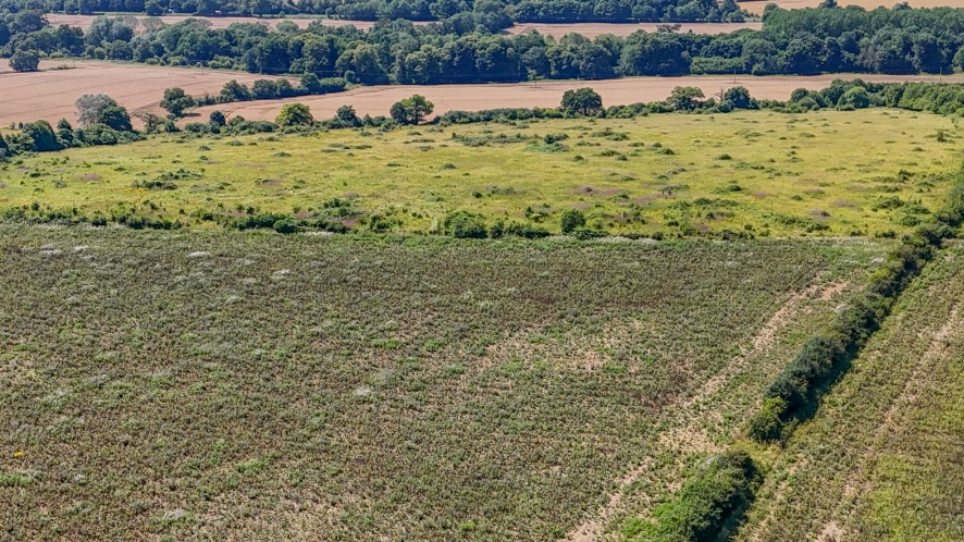 Plot 45 Quinbury Farm, Hay Street, Ware, Hertfordshire, SG11 2RE