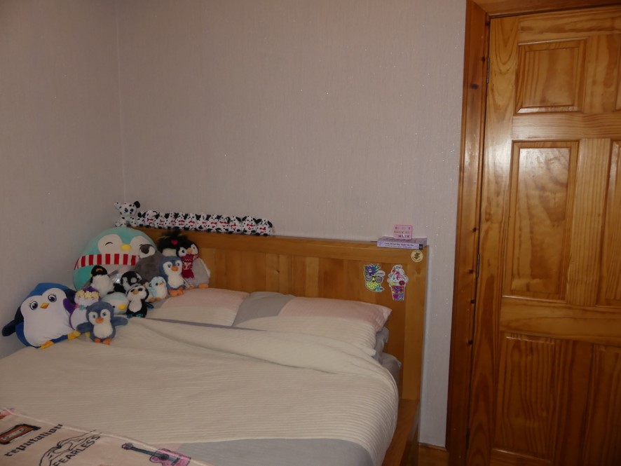 19 Huddart Street, Wick, Caithness KW1 5AZ