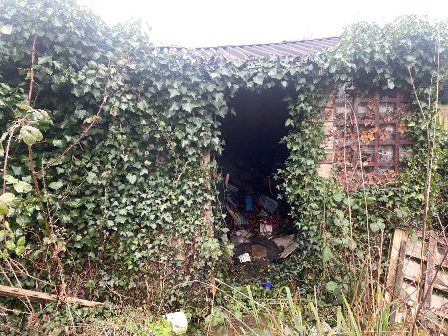 Lot Image