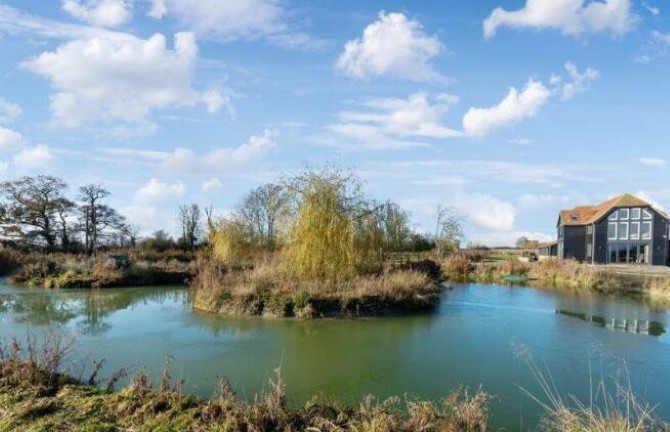 Lot Image