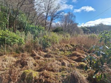 Property for Auction in Scotland - Plot 2 Glenborrodale, Glenborrodale, Acharacle, Argyll PH36 4JP