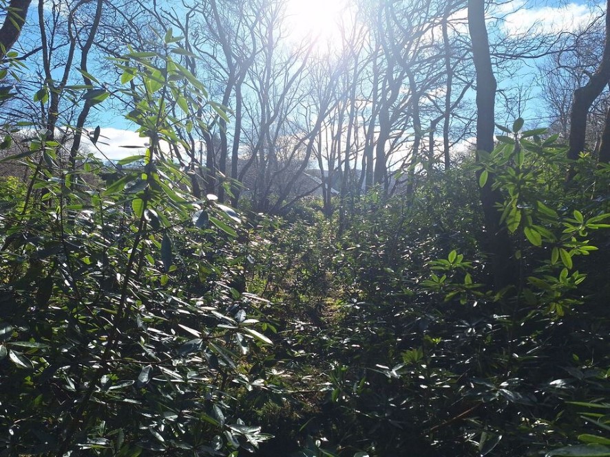image01