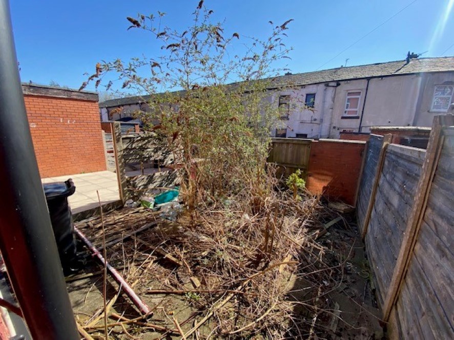 Lot Image