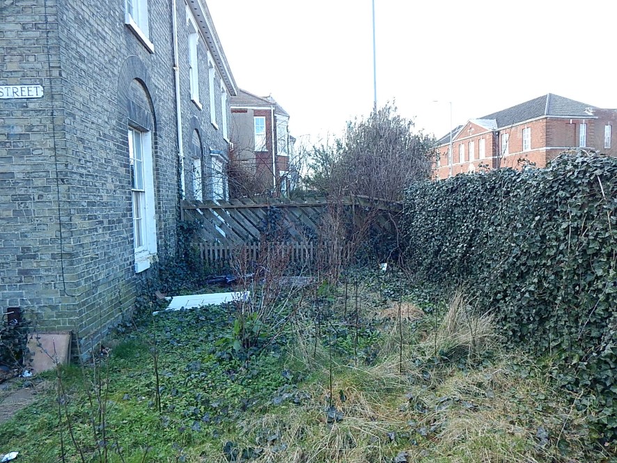 Lot Image