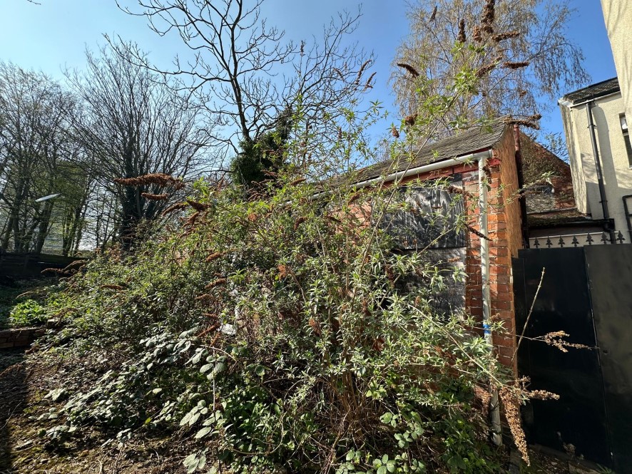 Lot Image