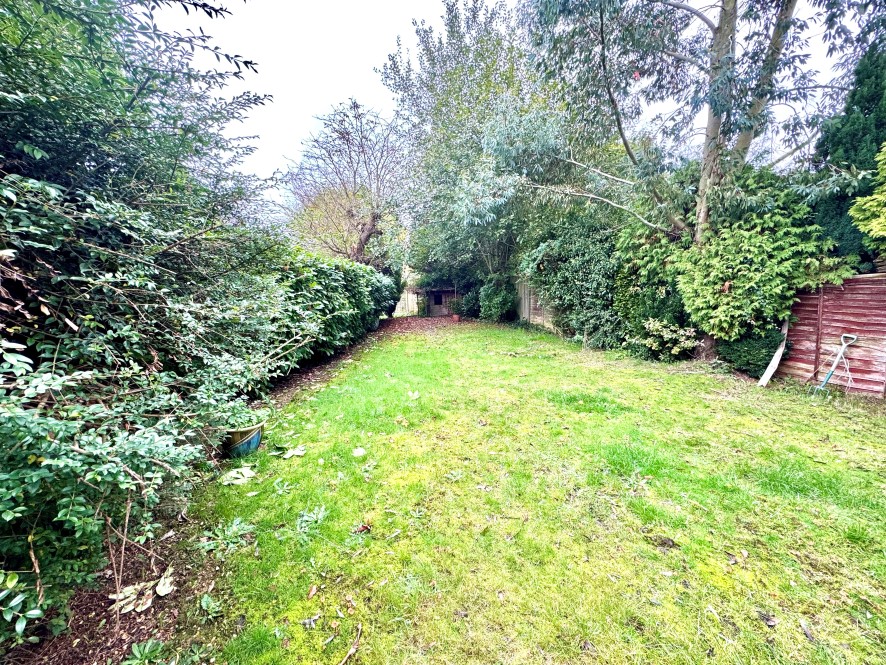 Lot Image