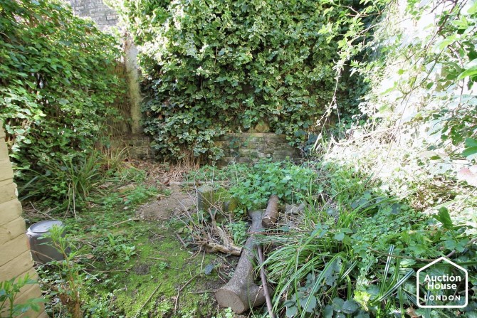 Lot Image