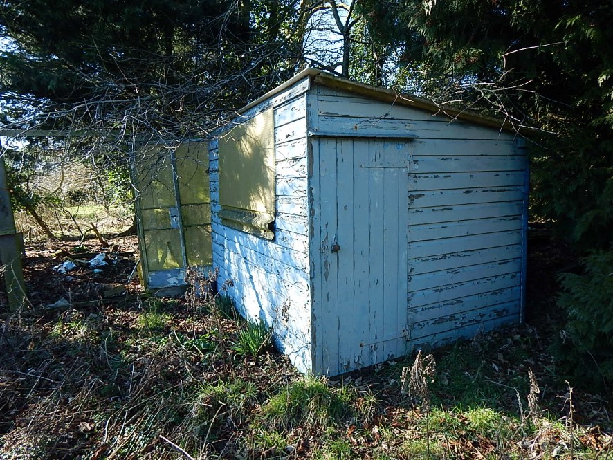 Lot Image