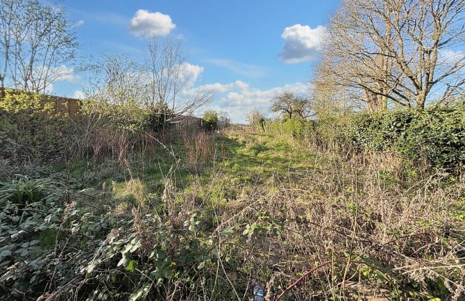 Lot Image
