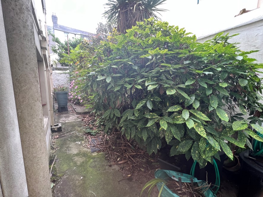 Lot Image