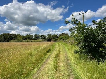 Property for Auction in East Anglia - Storage and Land, Barsham City Road, Barsham, Beccles, Suffolk NR34 8JW