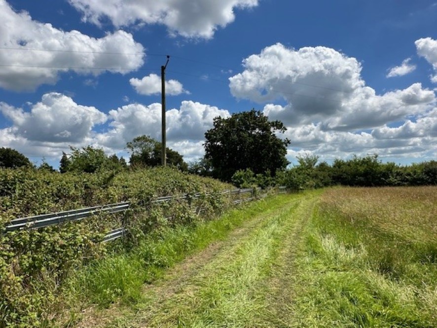 Lot Image
