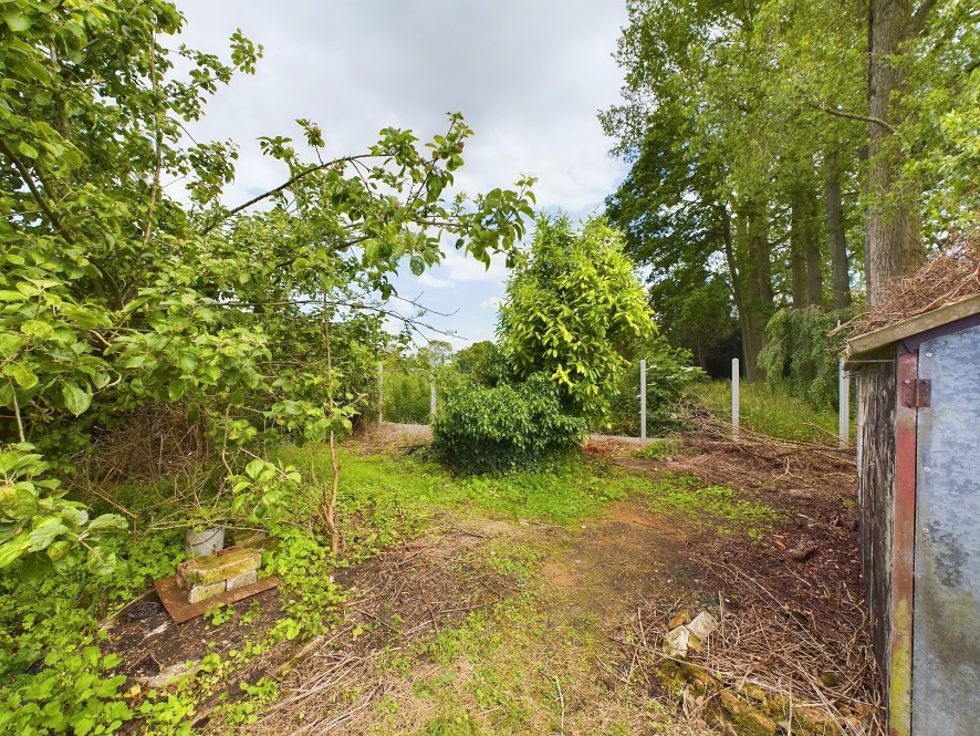 Lot Image