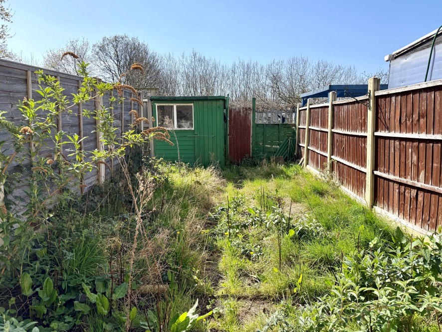 Lot Image