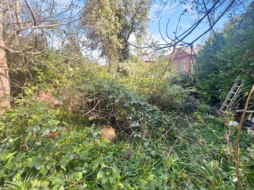 Lot Image