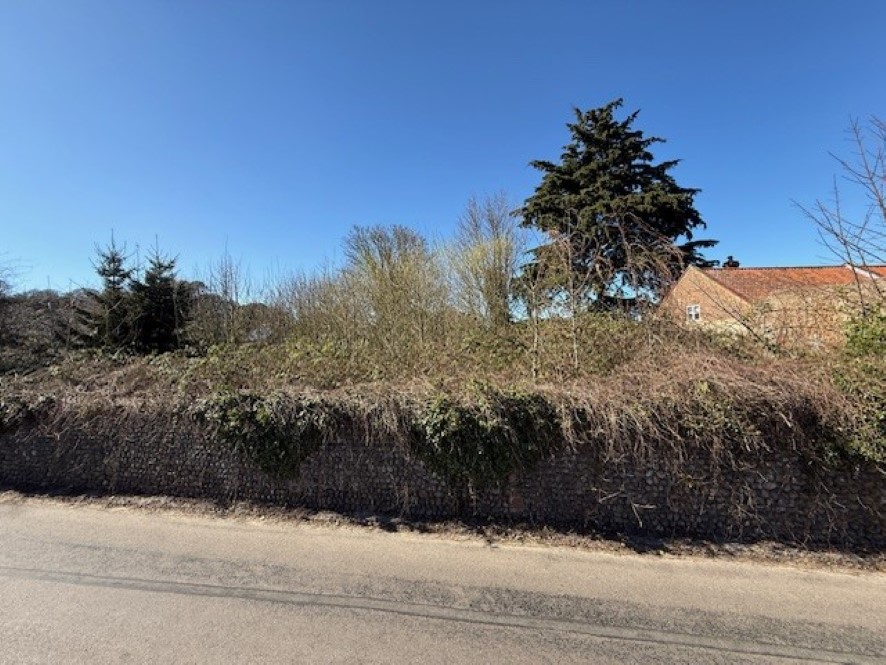Lot Image