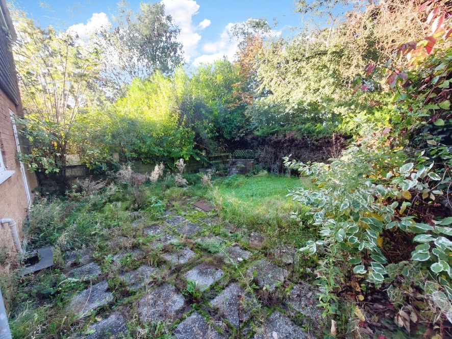 Lot Image