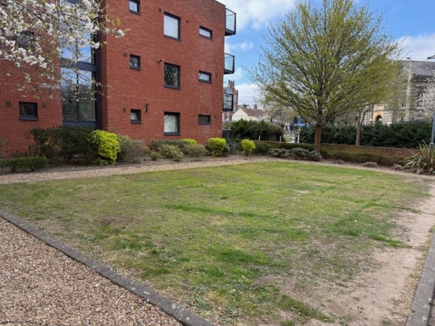 Lot Image