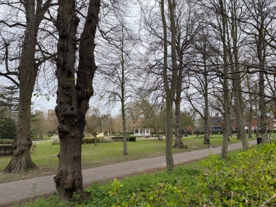 Lot Image
