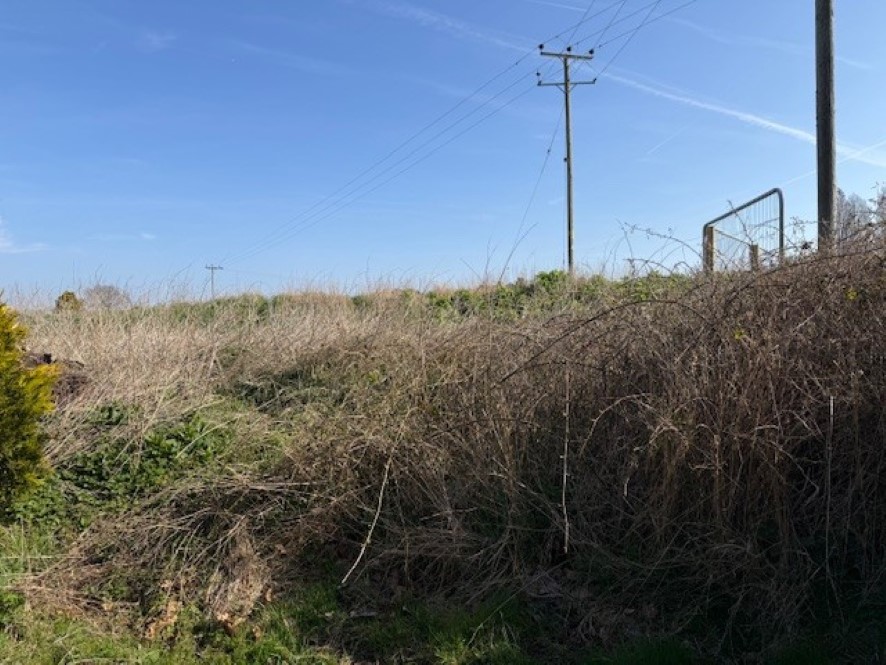 Lot Image