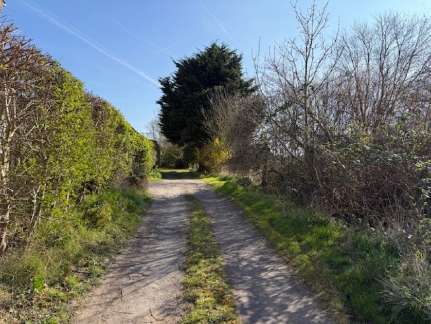 Lot Image