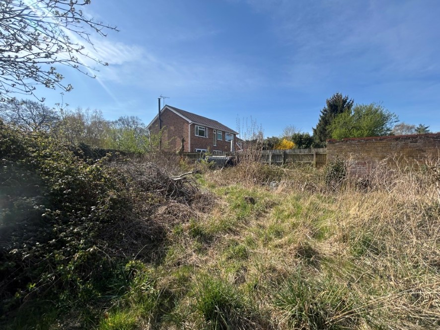 Lot Image