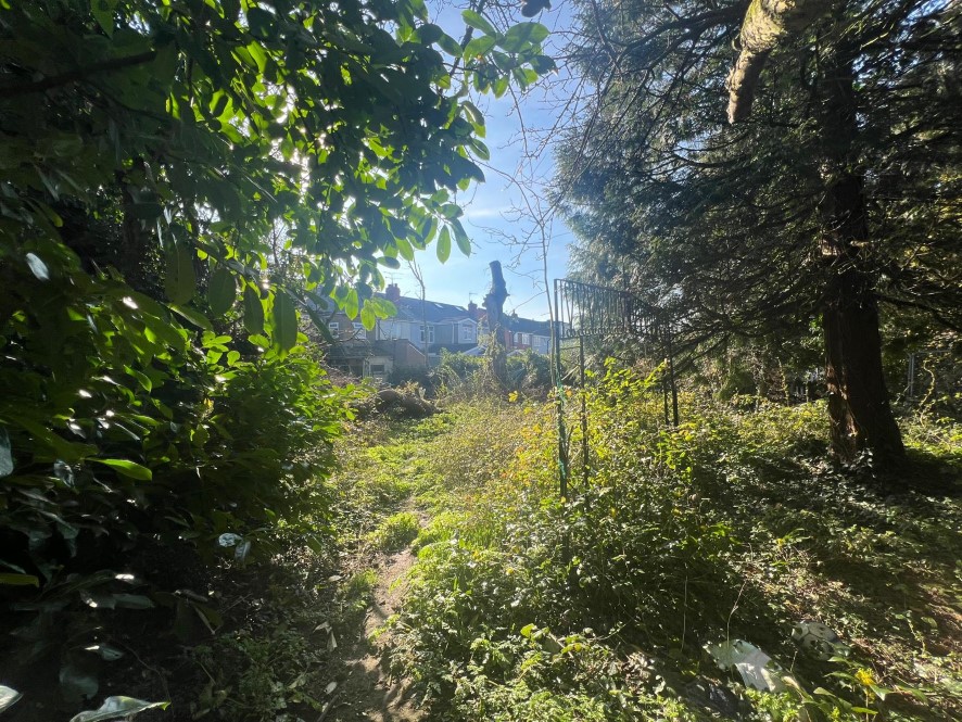 Lot Image