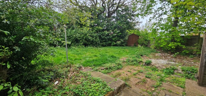 Lot Image