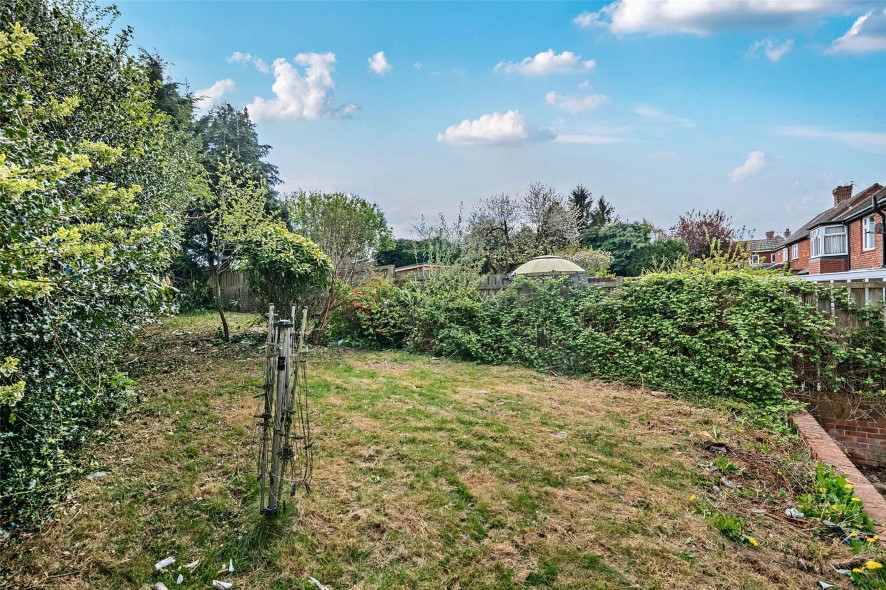 Lot Image