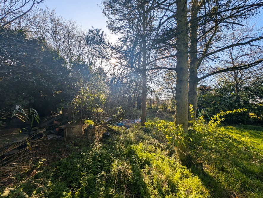 Lot Image