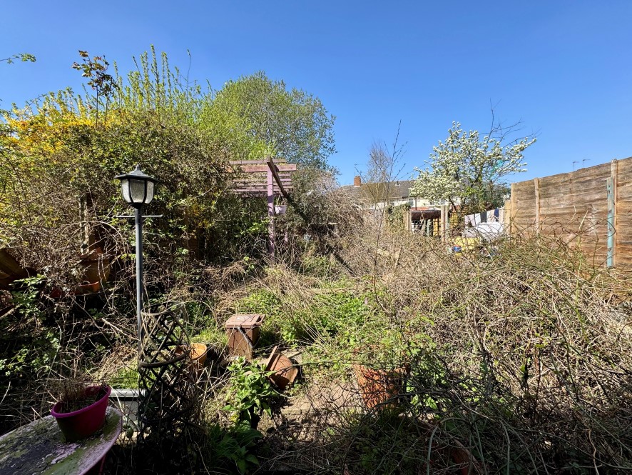 Lot Image