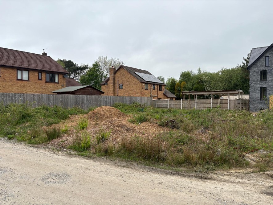 Lot Image