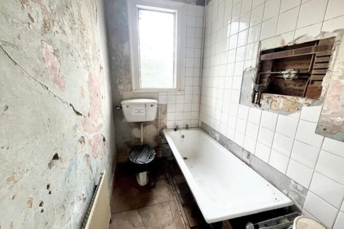 Lot Image