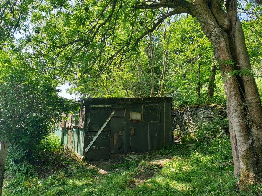Lot Image