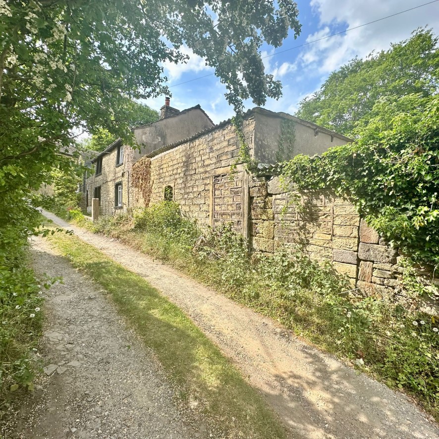 Lot Image