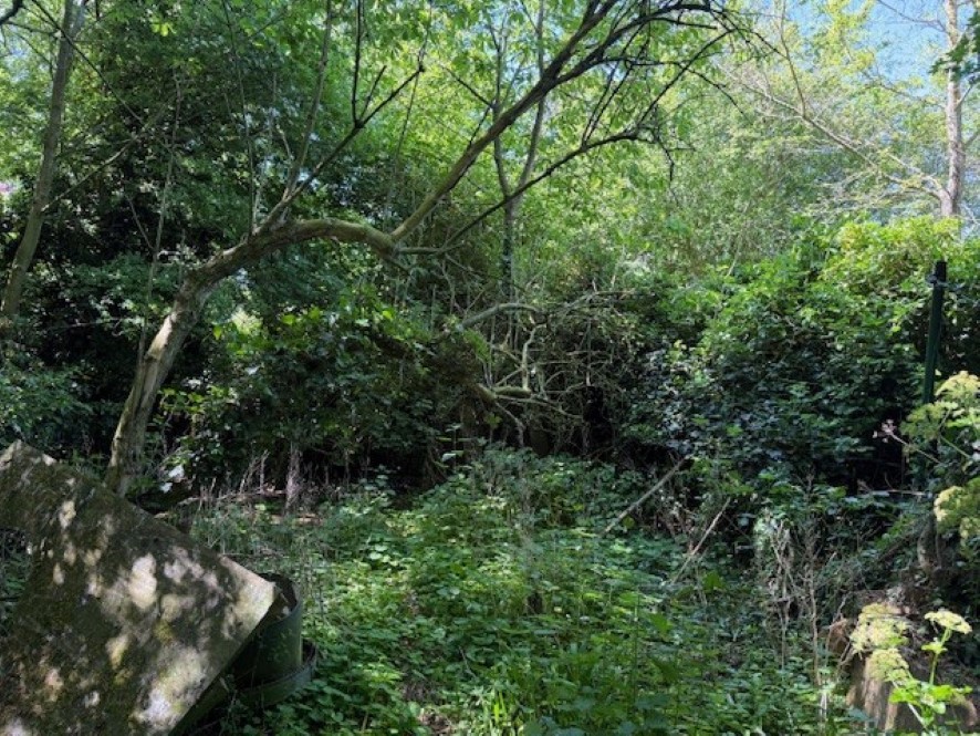 Lot Image