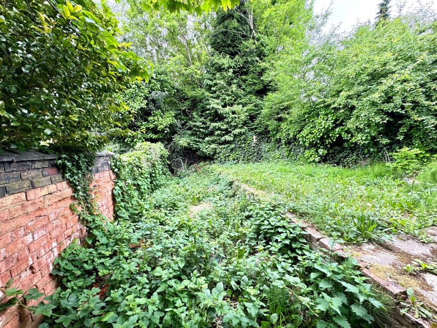 Lot Image
