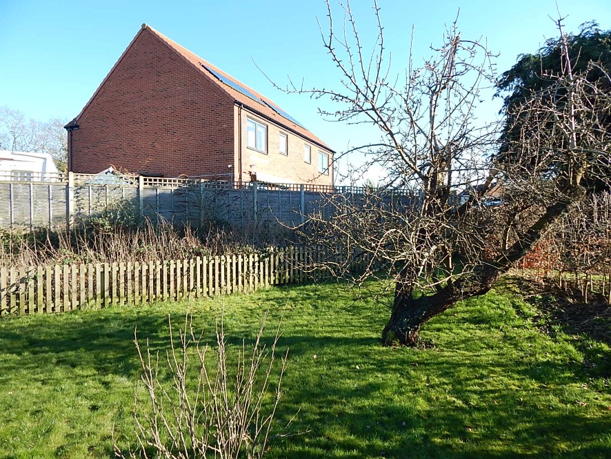 Lot Image