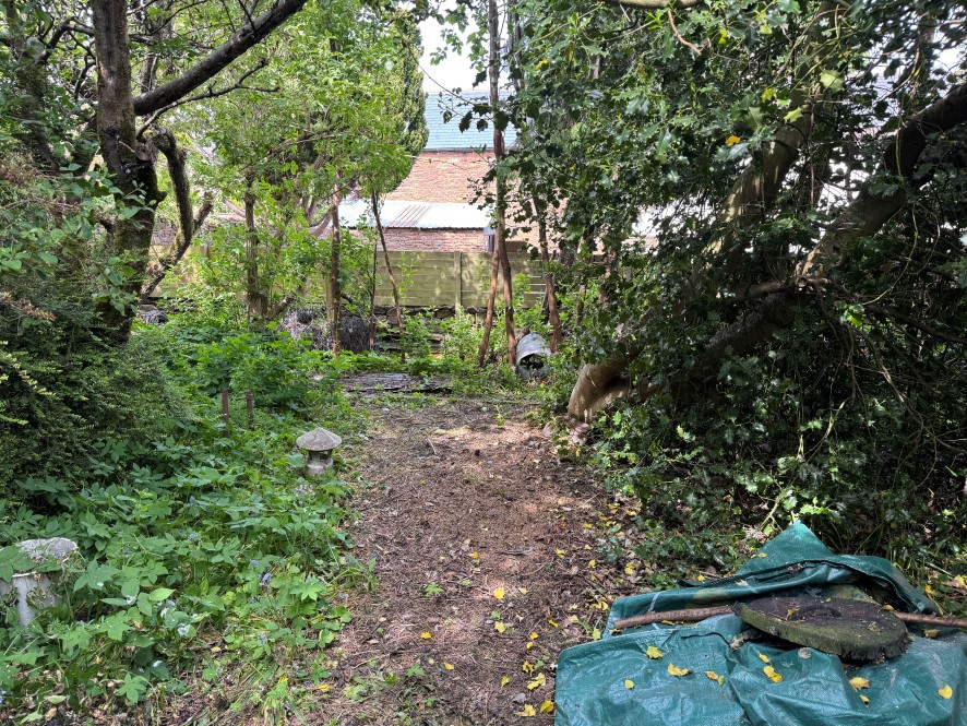 Lot Image