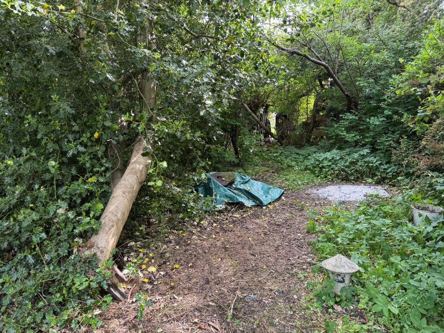 Lot Image