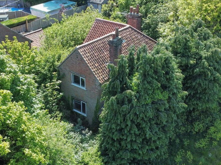 Lot Image