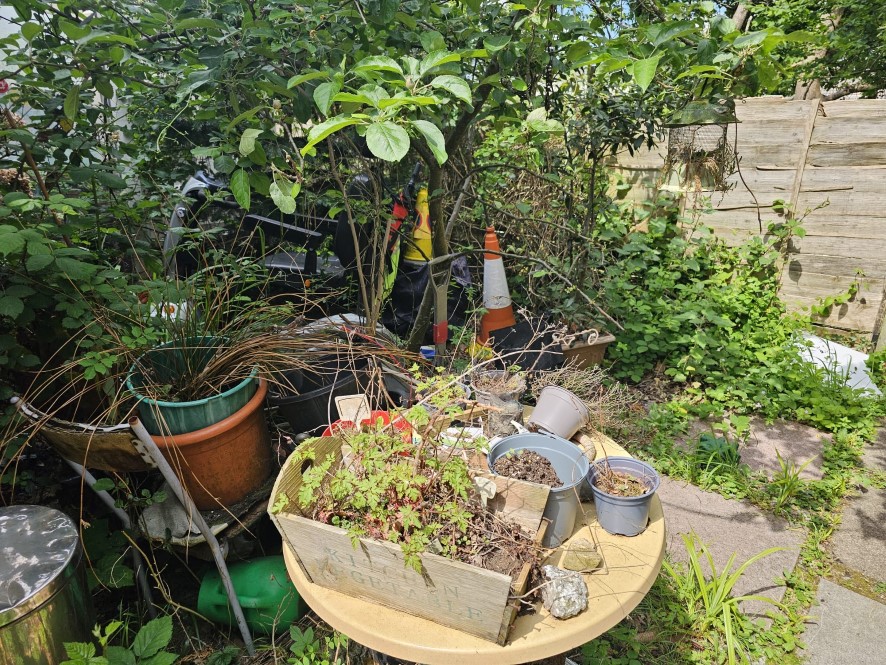Lot Image